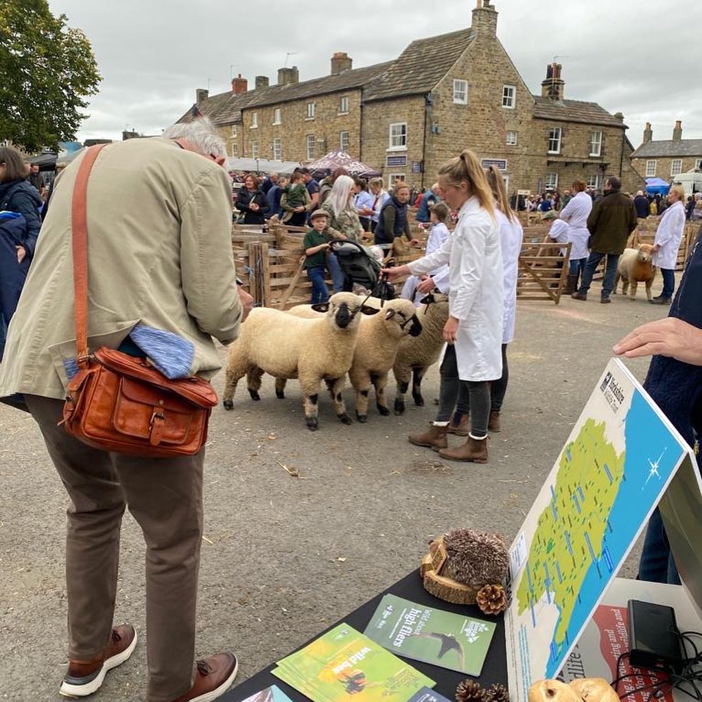 FCN_North's tweet photo. Thank you for having us @visitmasham #mashamsheepfair Here are a few highlights from our weekend!
#masham #sheepfair #sheep #lambing #wool #shepherd #shepherdess #sheepfarming #britishwool #britishlamb #biteintobritish #backbritishfarming #fcn #farminguk #farming #agriculture https://t.co/wWMe9dL17O