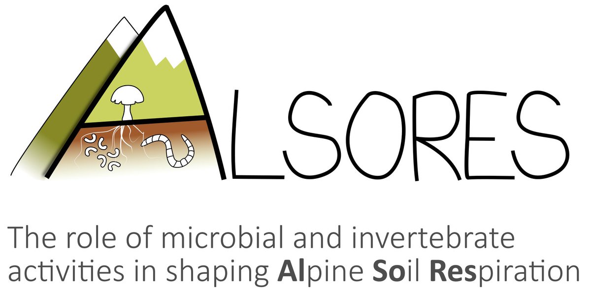 Highly motivated, I just started my @MSCActions  ALSORES that looks at the role of microbes and invertebrates in shaping recent and future Alpine soil respiration together with @julesibk and @m_steinwandter at @EuracAlpine!