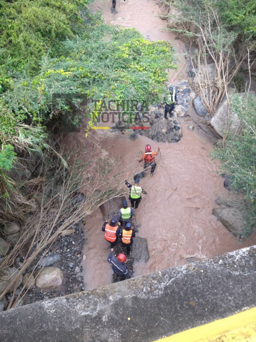 TachiraNoticias's tweet image. #Táchira Inicia cuarto día de búsqueda de los desaparecidos en Lobatera, solo quedan dos personas por encontrar. El patrón de búsqueda continua aguas arriba, hacía la zona de San Pedro del Río.
