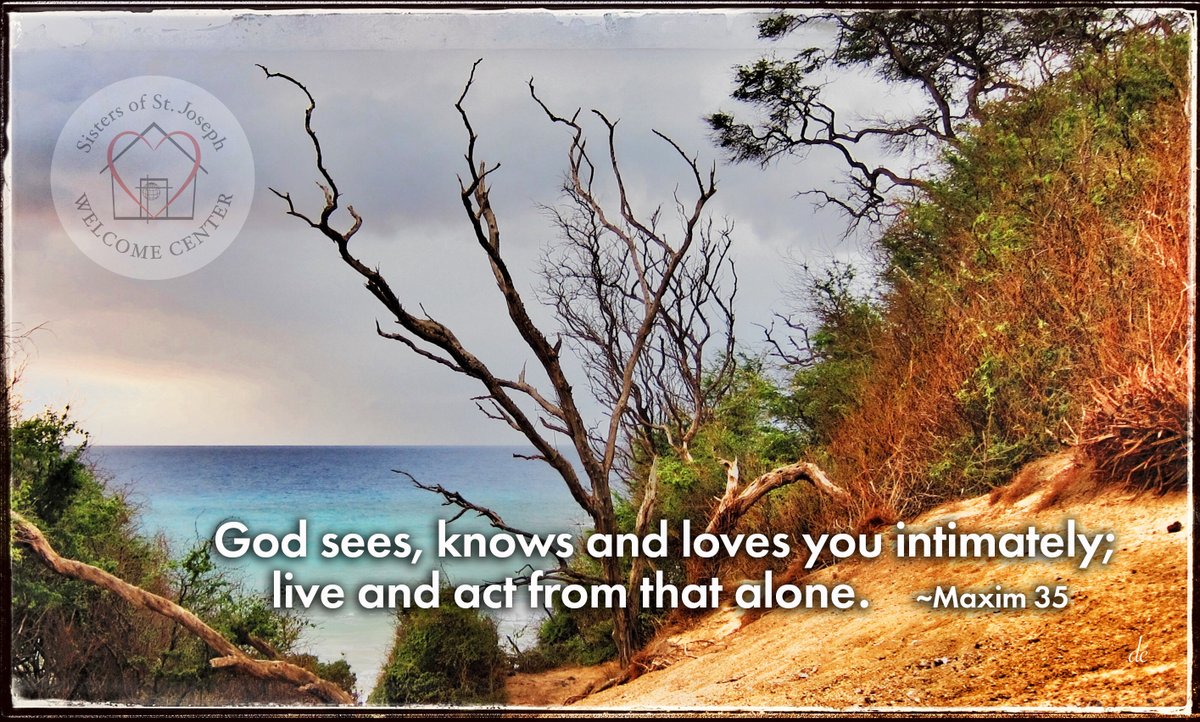 SSJWC's tweet photo. The Season of Creation began on September 1 and ends on October 4, the Feast of St. Francis of Assisi.  
“Nothing in creation is ever totally at home in itself. ... It is the deepest intimacy which is nevertheless infused with infinite distance.” John O’Donohue https://t.co/c7NajJccCn