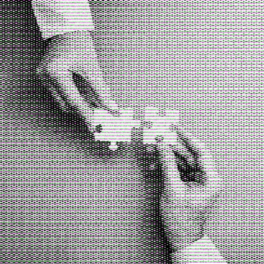 Omnibus Theatre tweet media