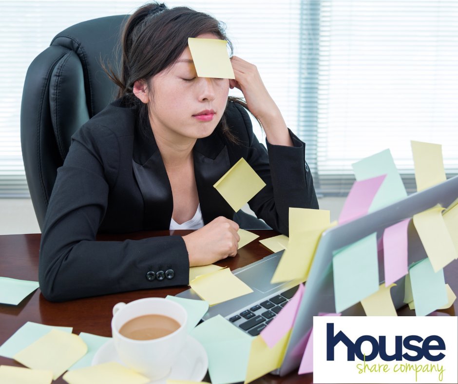 The House Share Company tweet media