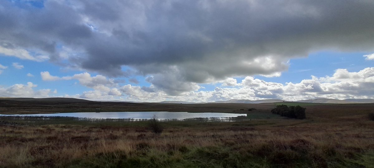 Ivycottagebaker's tweet photo. Big sky #Cumbria #BigSky on #bread delivery day #notjustlakes and yes I feel blessed every time I'm out and about. Thanks to everyone who supports this small independent #microbakery #supportyourlocalbaker #supportlocal #Community https://t.co/SXwhzF7XUU