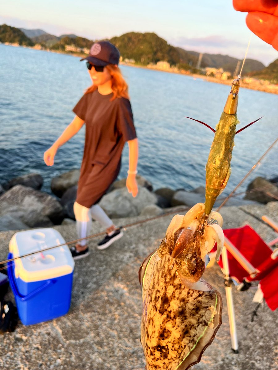 AnglerYtk's tweet photo. 久しぶりのんびり釣り♪夕方サクッとコウイカに遊んでもらった^ ^嫁ちゃん３杯、私１杯。ぼろ負け^ - ^笑 https://t.co/vlZn65Zj1O
