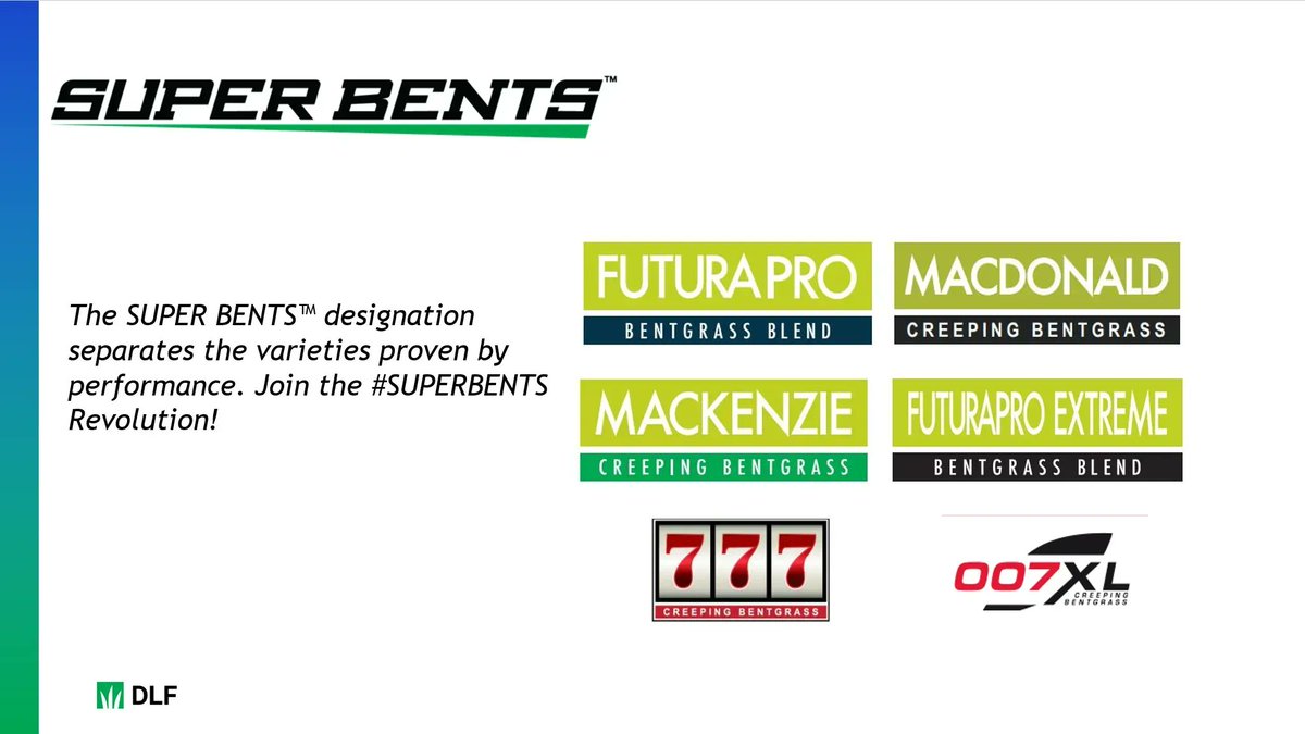 DLFCAN's tweet photo. We have a new SuperBent variety, 007XL, being released to compliment our current #DLF #SuperBents portfolio! #SuperBents are enhanced and improved varieties of bentgrass. To learn more, please contact your local #DLF rep and visit our page here: https://t.co/ebCcUkPKL7 ⛳️ 🌱 https://t.co/lraQ3rnhP1
