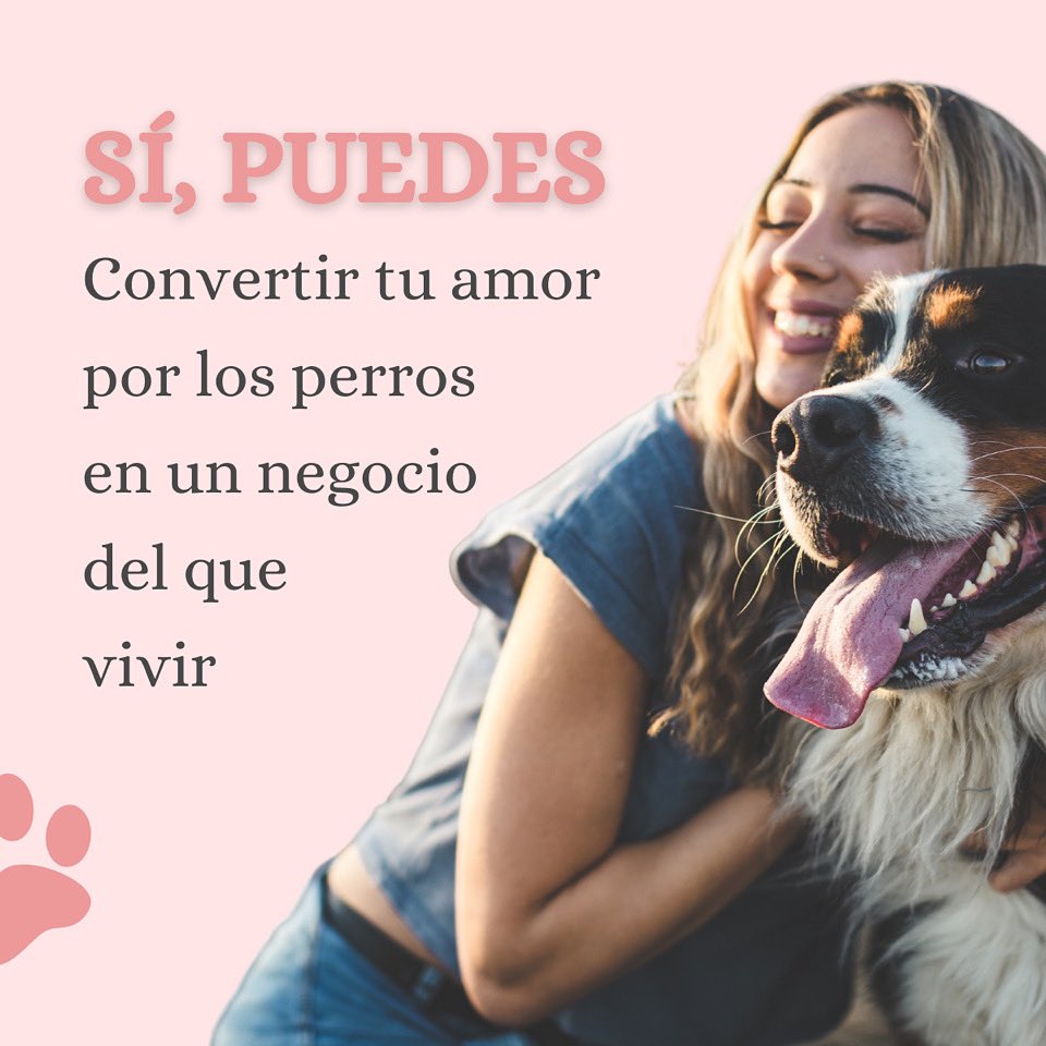 UlisesyArgos's tweet image. 👉 [Plazas Abiertas Edición 2022]
🐾 Mentoría para Emprendedoras Caninas: Cómo convertir tu proyecto canino en un negocio rentable.
🤍 Toda la info en: ulisesyargos.es/producto/negoc…