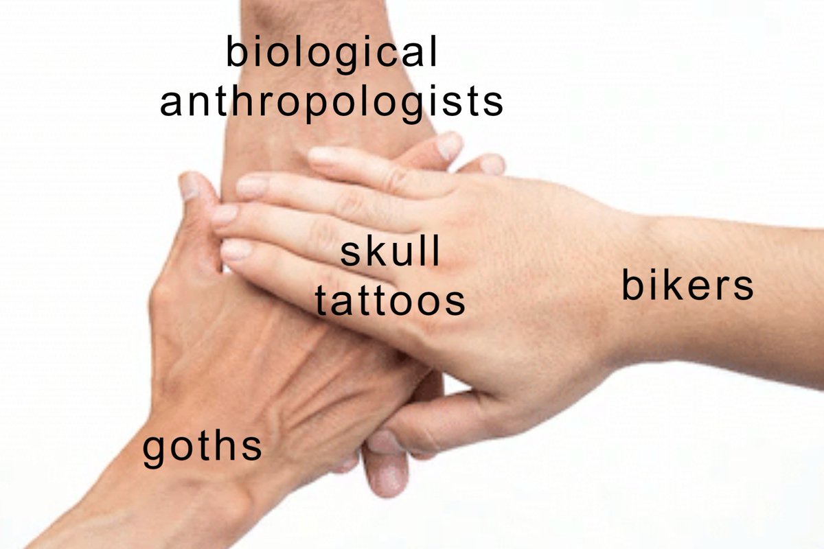 anthropologydp's tweet photo. Made another meme to yeet at the anthropological world. https://t.co/3KaUIwRENl