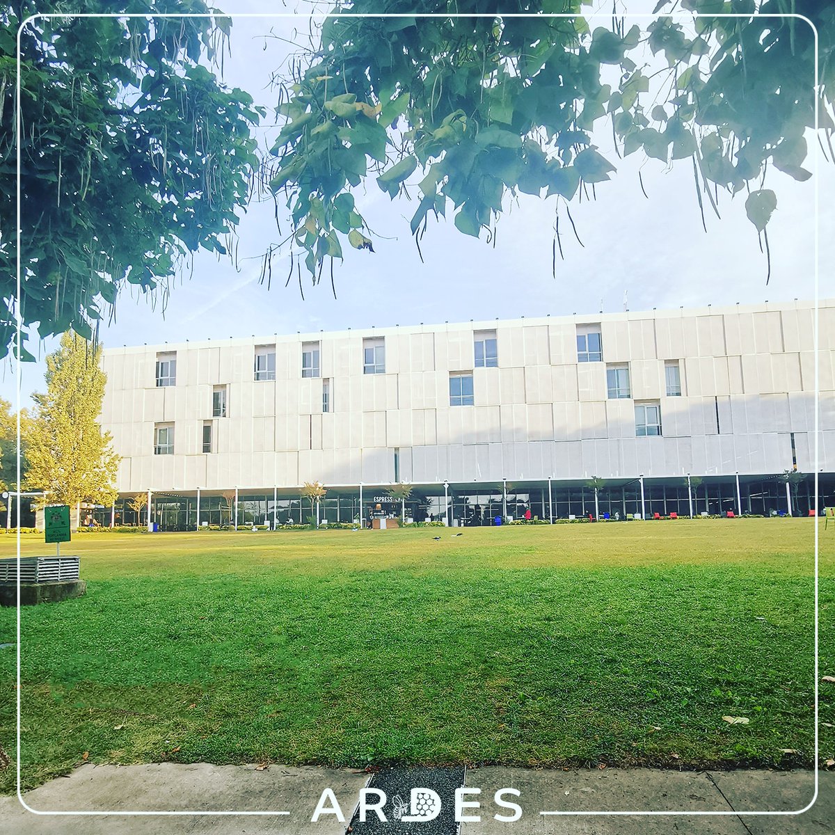 itutsd's tweet photo. Yeni haftaya MED'den merhaba! 🐝🎒☺️ https://t.co/5yPh4YyNQN