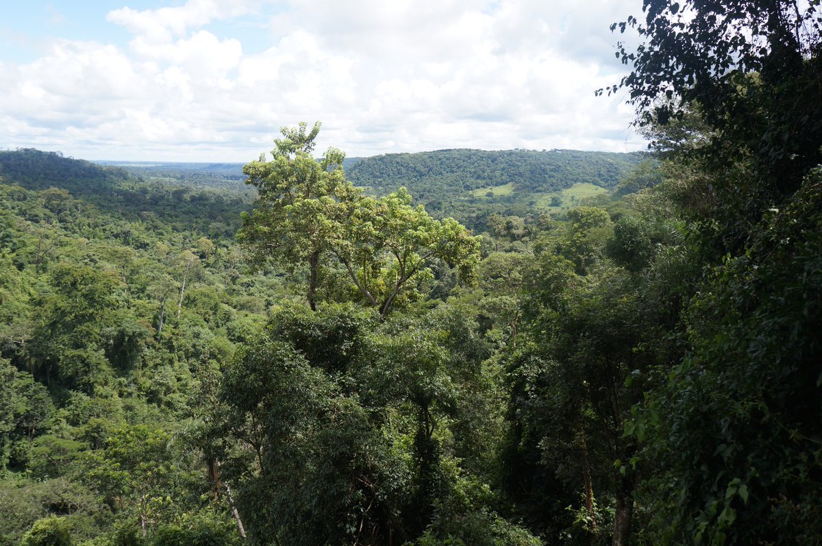 yobadu's tweet photo. #39de52 #delejos nos extasiamos con vistas como esta del Parque Nacional del Mbarakaju en Paraguay.. ¡oxígeno a montones!!. Proyecto #52de2022, @mongeleon https://t.co/s0zLLQwL08