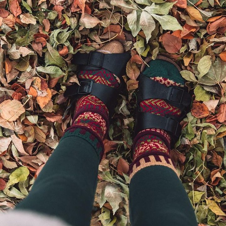 BIRKENSTOCKUSA's tweet photo. Bring on #SocksAndStocks weather. 📸: hannaserdynski

https://t.co/rA44aHnfuS https://t.co/8OFMLx7LCP
