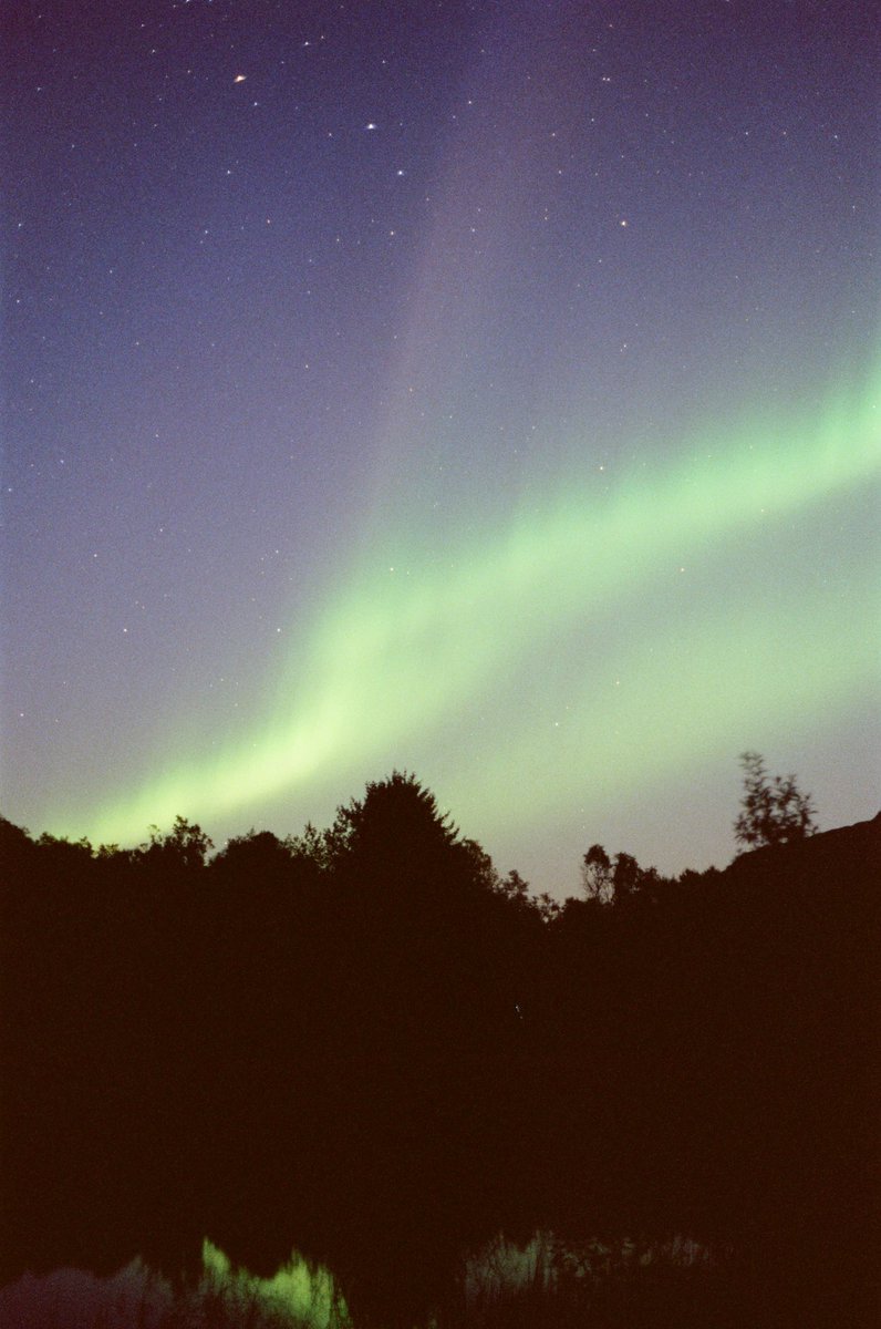 zzulanas's tweet photo. the northern lights captured on film #cinestill800t #35mmfilm https://t.co/GUw3IoSbem