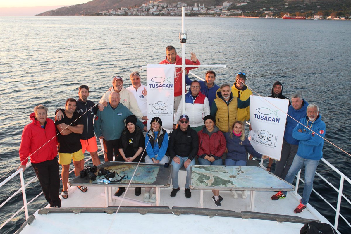 TC_Marmara's tweet photo. Kaymakamımız @muratcicek_mia,

🐟 Dalış turizminin canlandırılması ve denizel biyoçeşitliliğin tespiti ve korunması çalışmaları kapsamında, 

🤿 Su Altı Fotoğrafçıları ve Filmcileri Derneği @sufodorg ile birlikte Marmara Adası çevresindeki dalışa katıldı.

📍 #MarmaraDenizi https://t.co/ffxib3AzFw