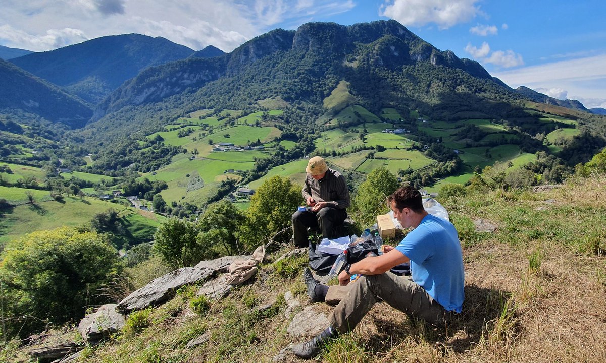 Jean Lassalle tweet media