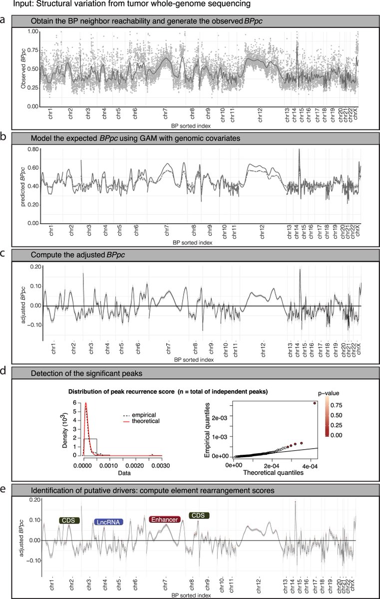 NatureComms's tweet image. @ekta_khurana et al. develop CSVDriver, a method that identifies breakpoint proximity of #StructuralVariants in cancer, the contribution of #TADs, loci under #PositiveSelection, and putative #CancerDrivers

#CancerResearch @natrescancer

go.nature.com/3RmN70Q