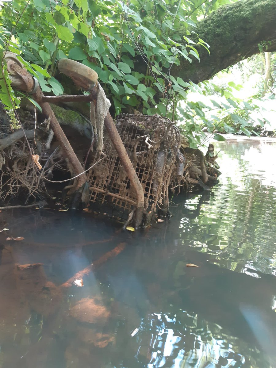 Trolleywise's tweet image. What is the weirdest place you have seen a trolley, Let us know down below….