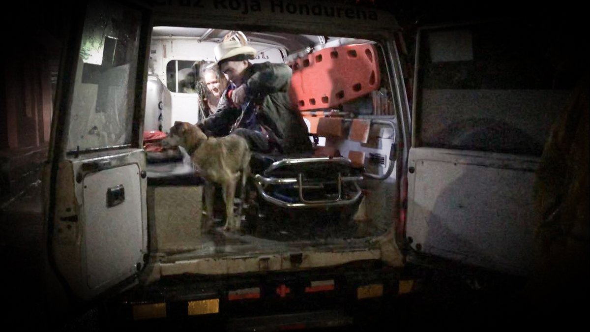 cruzrojahon's tweet photo. 🐶NO DEJAREMOS A NADIE ATRÁS🐱
Hace unos días, mientras realizábamos evacuaciones una pareja de ancianos no se iba sin sus mascotas ❤️ nosotros apegados a nuestros principios de humanidad, no dejamos a nadie atrás y los llevamos con nosotros a un lugar seguro.

#CMTaulabé https://t.co/zhVujzeFIh