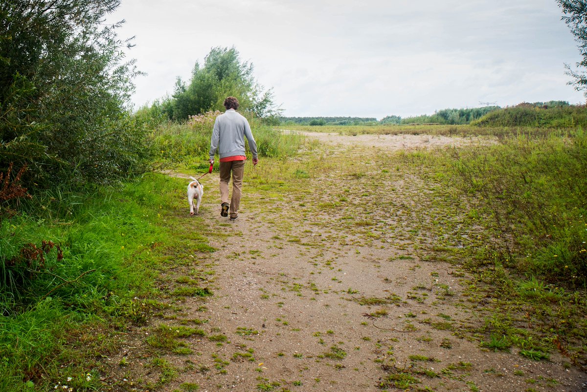 tijd_nat's tweet photo. Vanavond tussen 8 en half 9 op @NPORadio1 in het programma 5 dagen een interview over Tijdelijke Natuur. Vandaag opgenomen in de stromende regen te Haarrijn https://t.co/59VWkr4EWS #tijdelijkenatuur #natuur https://t.co/66WhKUoOnn