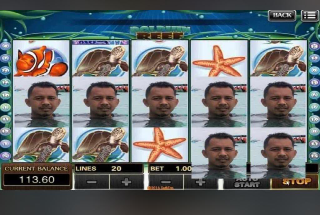 eejamDojo's tweet photo. Caption : “tolong editkan gamba dekat laut ada penyu keliling”. 🤣 https://t.co/bYtr1lnrRi