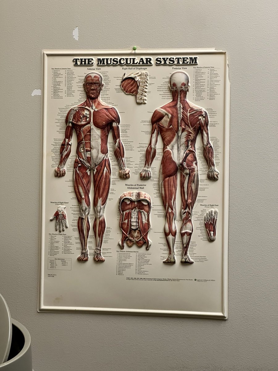 ™️Marcus on Twitter "Infection confirmed…now gimme the COT DAMN DRUGS. 😂"