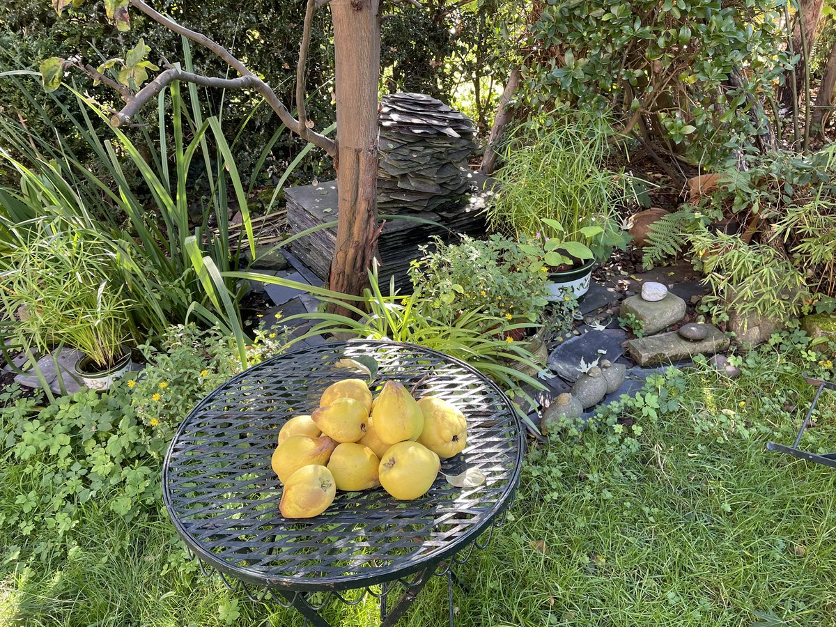 profanthonyjones tweet media