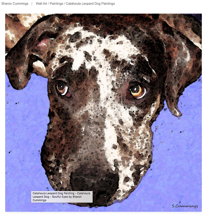 Soulful Eyes - GET IT:  fineartamerica.com/featured/catah… #dog #dogs #doglovers #DogLover #doglove #doglife #dogmom #dogmum #pets #art #animals #cute #gifts #GiftThemArt #BuyIntoArt #Catahoula #CatahoulaLeopardDog #FallForArt