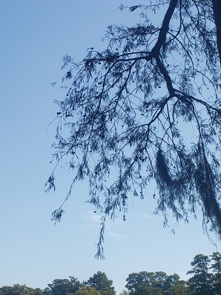 Fly high. Enjoy the skies.