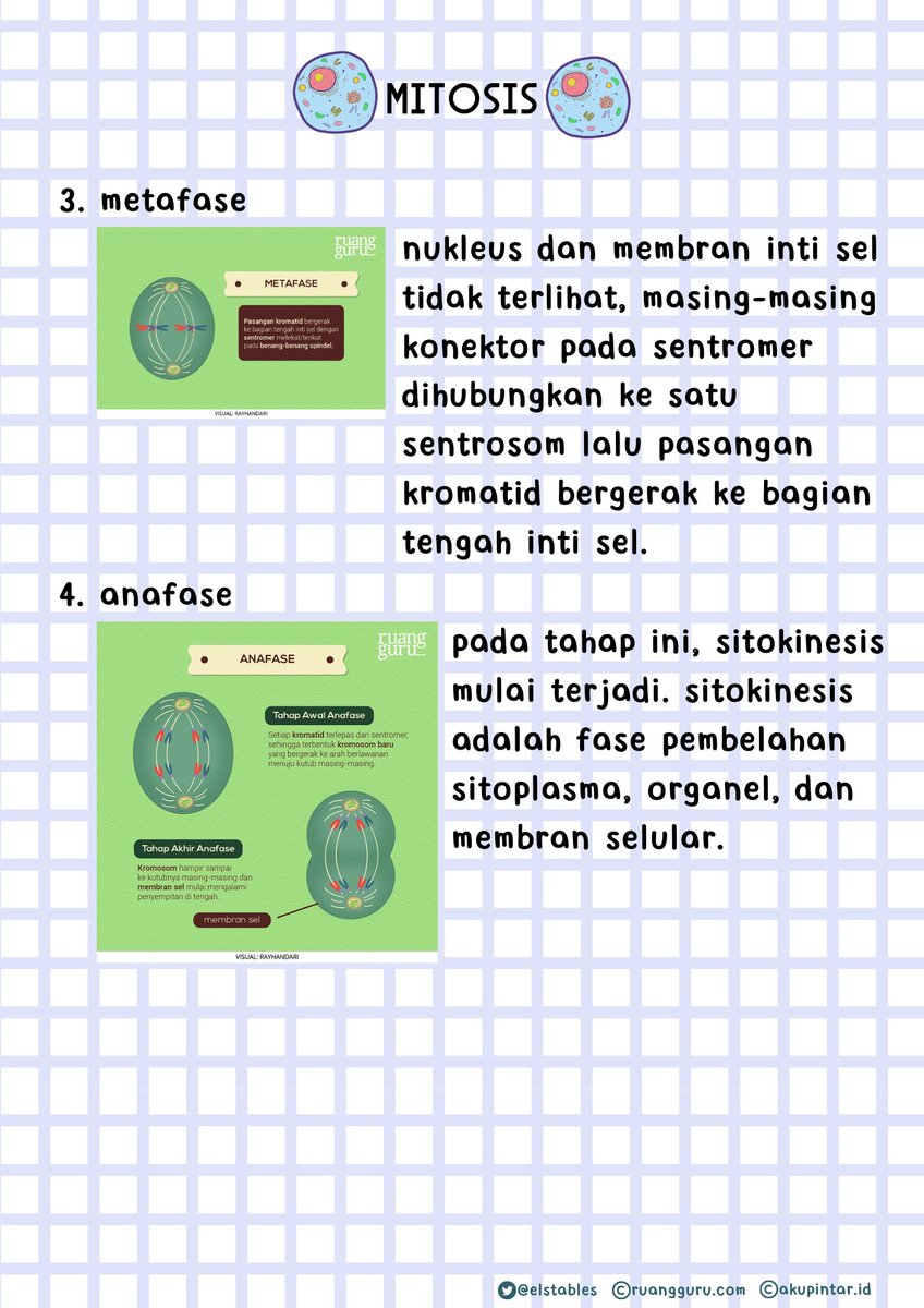 elstables's tweet photo. rangkuman biologi kelas 12
🌱pembelahan mitosis

cr. https://t.co/0X1kJFMZ4j ruangguru https://t.co/e03Q3bHlgD