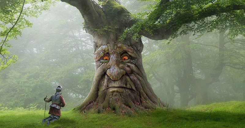 10 Memes About That Wise Mystical Tree