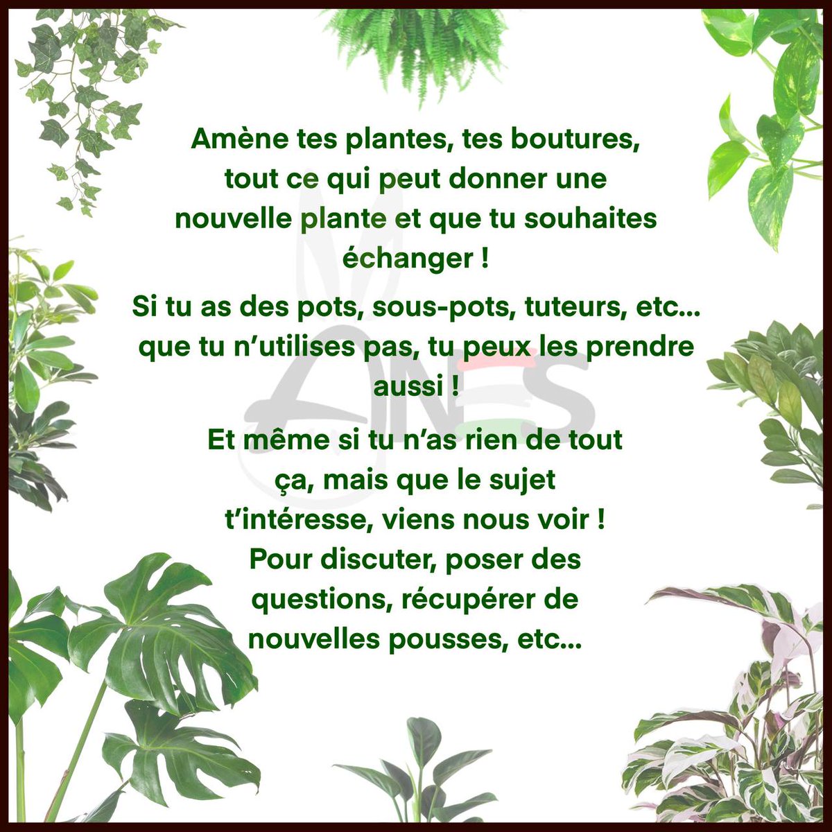 Envie d'ajouter des plantes dans ton salon ? Ou de partager tes boutures ? 
Rendez-vous mardi 4 octobre à midi en Faculté des Sciences (Emile-Argand 11) pour un troc de plantes ! 
Tu es bienvenu.e.x même si tu n'as pas de plante à donner ♥️