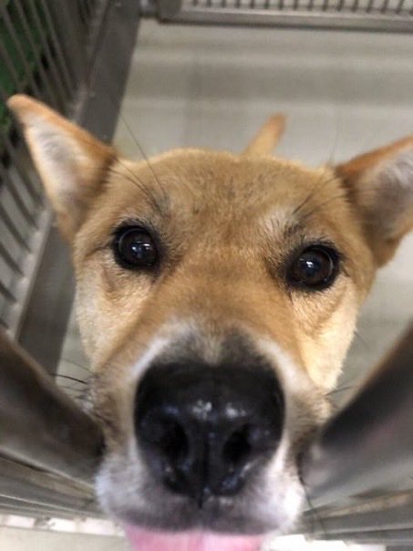 Soni 感謝しかない Soni 3x Twitter