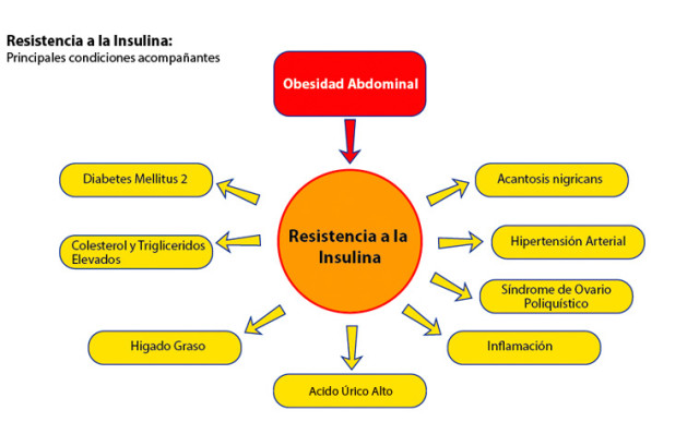 DrPedroBarreda's tweet photo. La resistencia a la insulina es el fenómenos mas importante que conduce a un envejecimiento rápido y prematuro a todas las enfermedades resultantes, incluyendo las cardiacas, infarto, derrame cerebral, demencia y cáncer. https://t.co/ny61SHsxiQ
