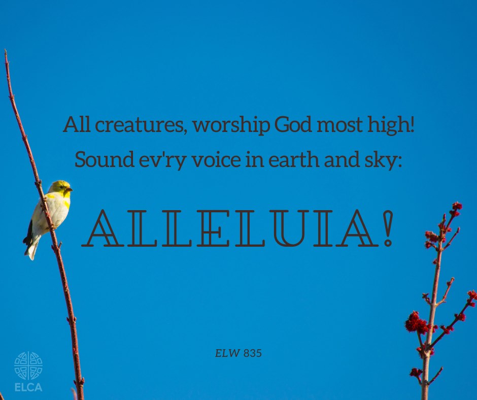 elca-lutherans-on-twitter-all-creatures-worship-god-most-high-sound