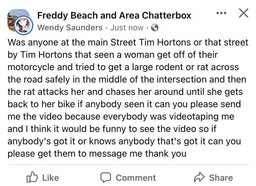 hmes1973's tweet photo. Sometimes I miss Fredericton. https://t.co/4mhhCK3ght