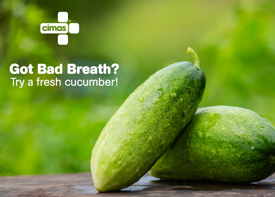 CimasHealth's tweet image. Bad breath bothering you? You’re not the first person to encounter this problem. You might think that mints or chewing gum work best, but try keeping a fresh cucumber by your side instead! It’ll help fight off bad breath.
