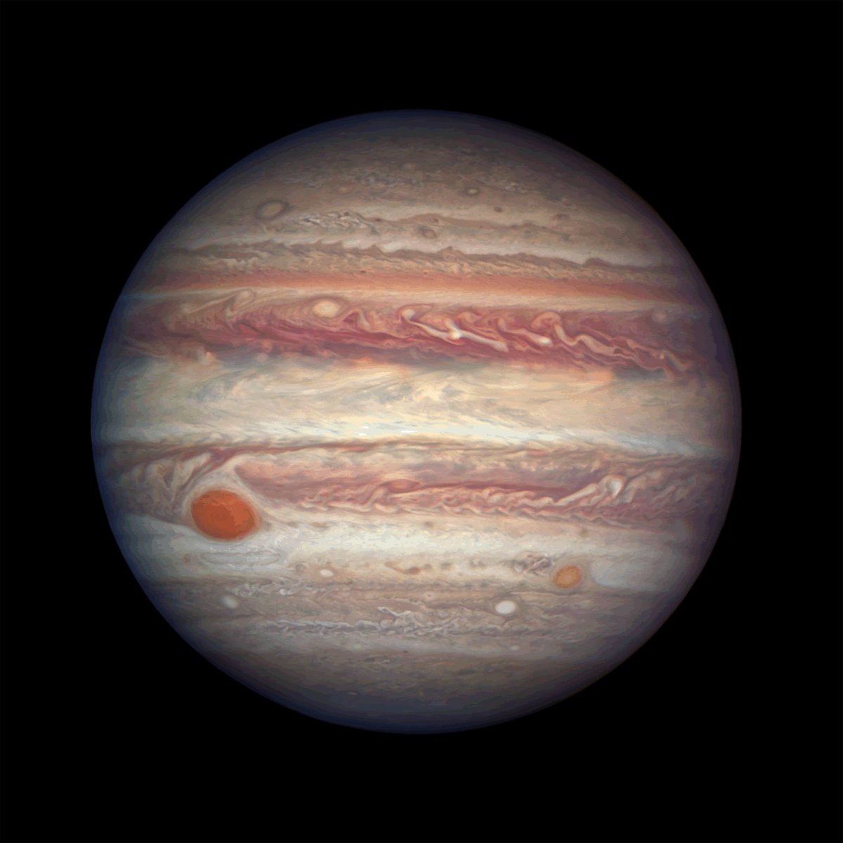 TheRealBuzz's tweet photo. Heads up, that’s no moon, it’s Jupiter! Today the solar system’s largest planet Jupiter, will make its closest approach to Earth in 59 years. The gas giant will be unusually bright and large in the sky which should offer a great opportunity for viewing. https://t.co/A3MmqKAsjh