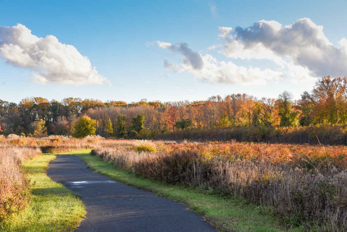 MonCountyParks's tweet photo. It's #NationalFallFoliageWeek!
In our area we often don't see the colors of autumn until late October-November, depending on the weather of course. So check out a few fall foliage favorites from last year to get you ready to enjoy the colors autumn brings in the coming weeks. https://t.co/cxXbwMHz3m
