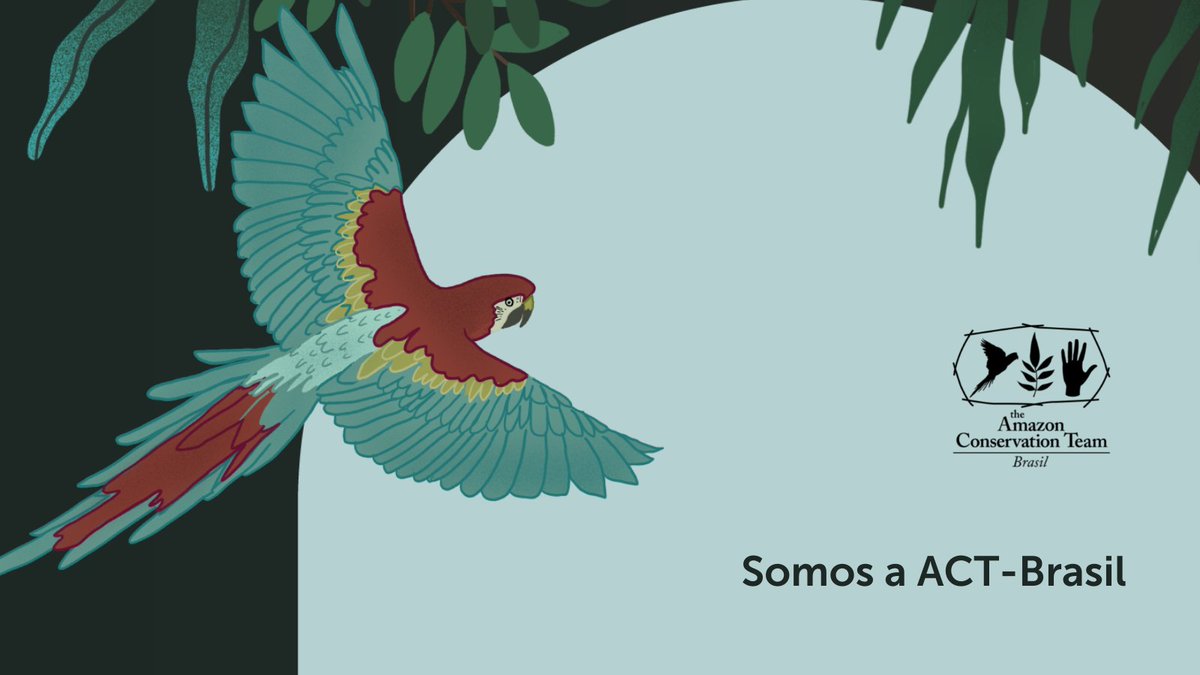 Amazon Conservation Team Brasil tweet media