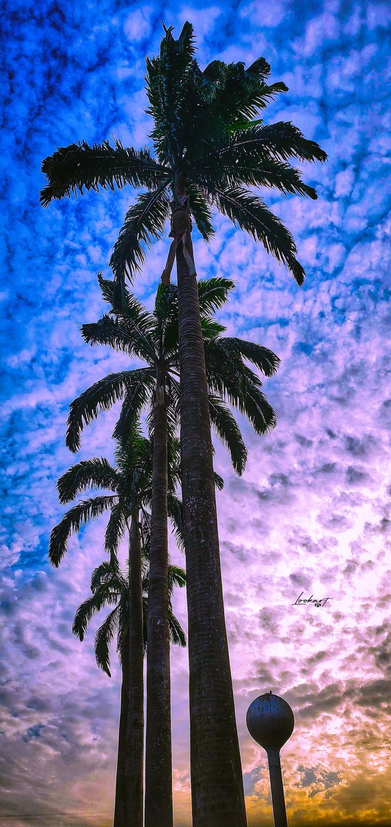 Lookarttt's tweet photo. @dvrkmode_ I took these pictures with my phone 🤳 https://t.co/lgaE7CGzbS