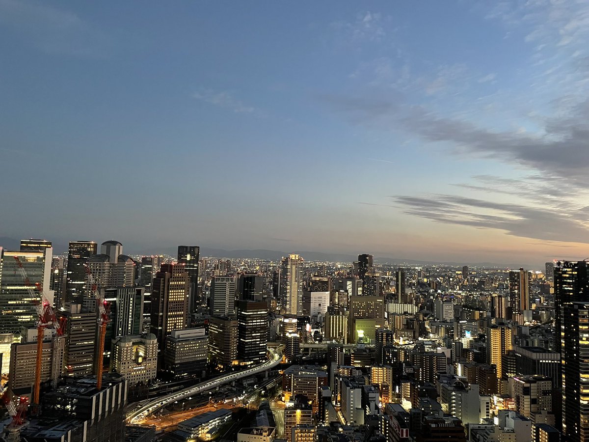 BierbaumerLisa's tweet photo. We made it to Osaka! @juliagspandl Looking forward to #TISLR14 this week 🥰🇯🇵 https://t.co/rno919B2Md