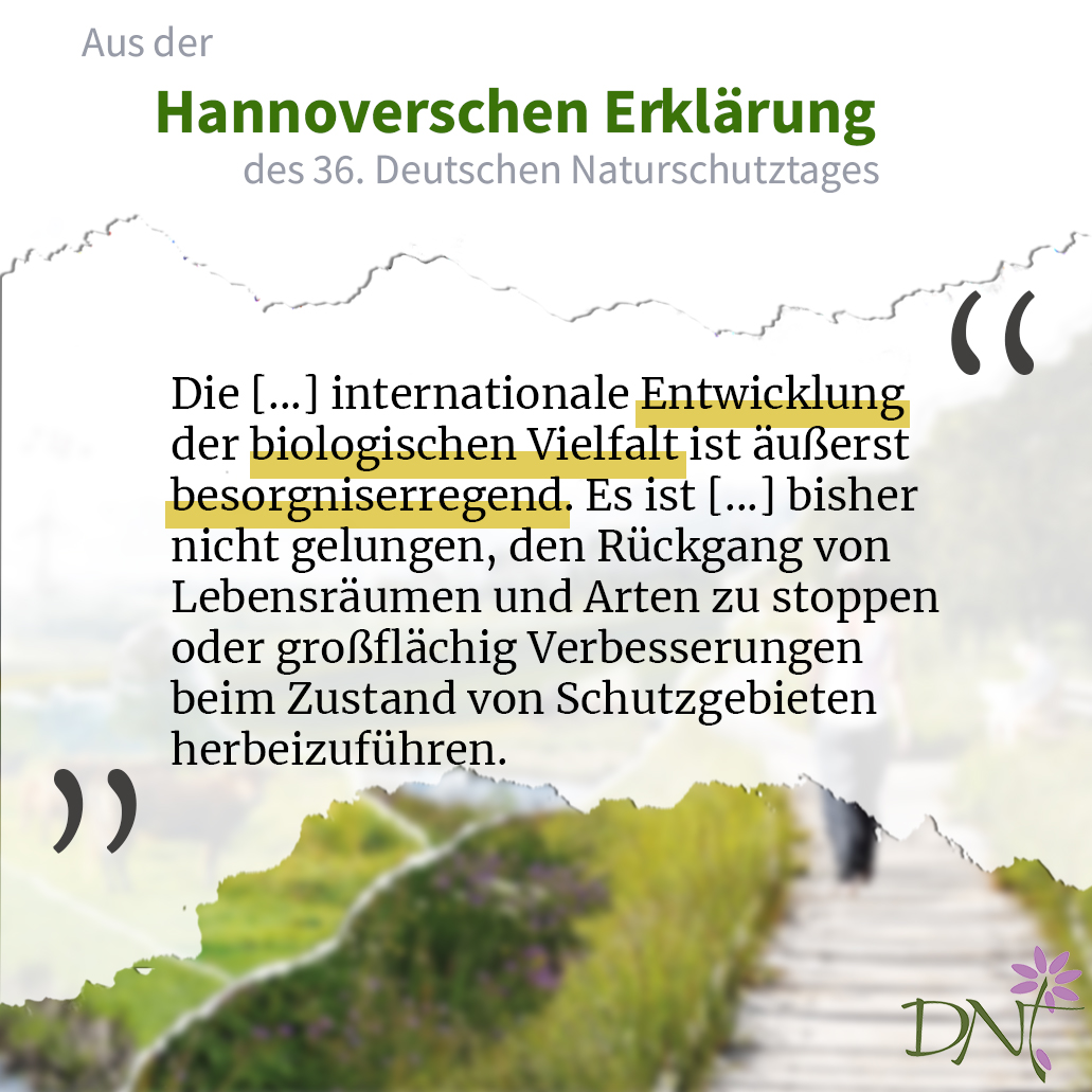 Kanzler Olaf Scholz hat nun auf dem G7-Gipfeltreffen mitgeteilt, dass Deutschland den internat. #Klimaschutz mit jährl. 1,5 Milliarden Euro unterstützen wird. Es wird ein Missstand aufgegriffen, auf den auch schon der #dnt2022 in Hannover hingewiesen hat📢 deutscher-naturschutztag.de/hannoversche-e…