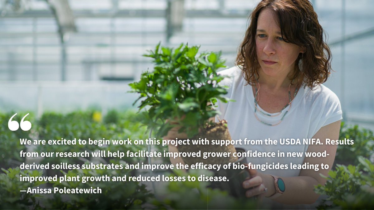 Congrats to COLSA asst. professor &amp; NHAES scientist Anissa Poleatewich, who has been awarded funding from the <a href="/USDA_NIFA/">NIFA</a> Crop Protection and Pest Management (CPPM) program to continue investigating the use of soilless substrates in container-grown ornamentals and vegetable crops!