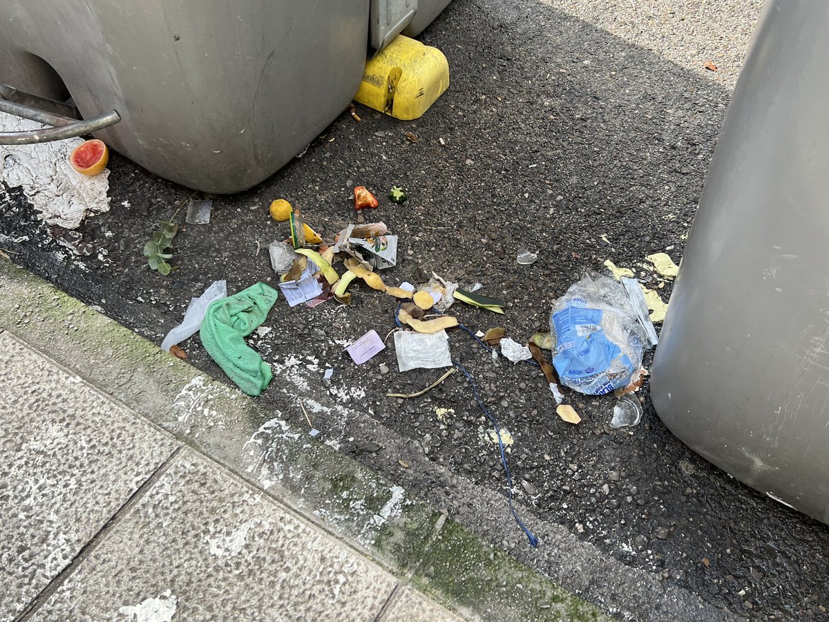 santandersucio's tweet photo. Oye, @gemaigual, que hay cosas que ni la lluvia se lleva. ¿Pretendes hacer algo? ¿O vas a seguir permitiendo estos buffets libres para ratas y gaviotas? #SantanderSucio #SantanderSuciedad #SantanderCiudad #Santander https://t.co/CwTXZPvCbJ