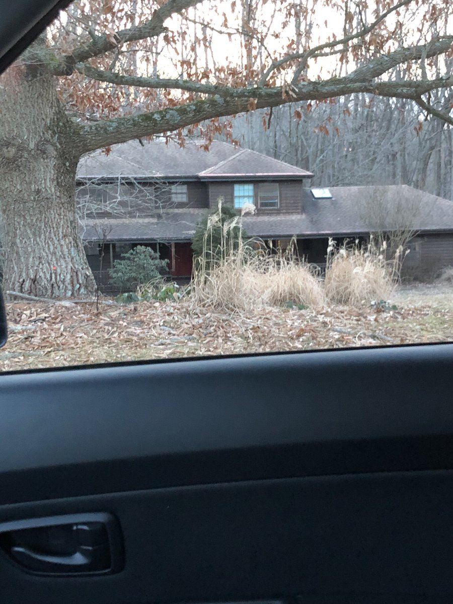 ShakespearGirl's tweet photo. What the #EvilDead cabin would look like on the East Coast. #NotGoingInThere #NoThankYou https://t.co/m0At43Hb04