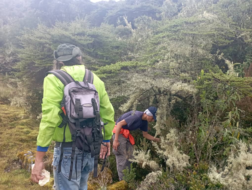 INPARQUES MÉRIDA🌱 tweet media