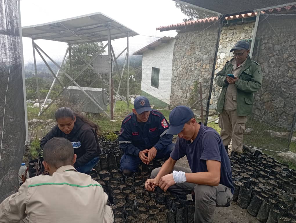 Estuvimos este fin de semana en el puesto guardaparques Los Jarillos, en el Parque Nacional Sierra de La Culata, en una extensa jornada de restauración forestal del bosque de Coloraditos, especie arbórea endémica de los Andes venezolanos.

Seguimos sembrando vida 💪🌱
