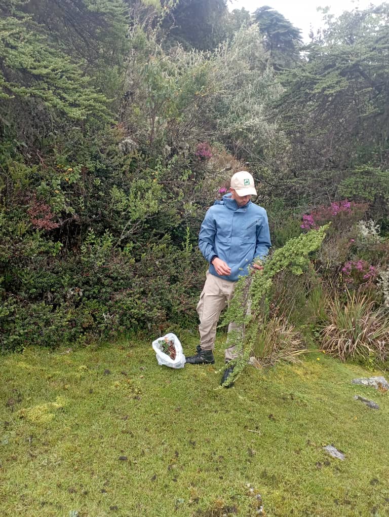 INPARQUES MÉRIDA🌱 tweet media