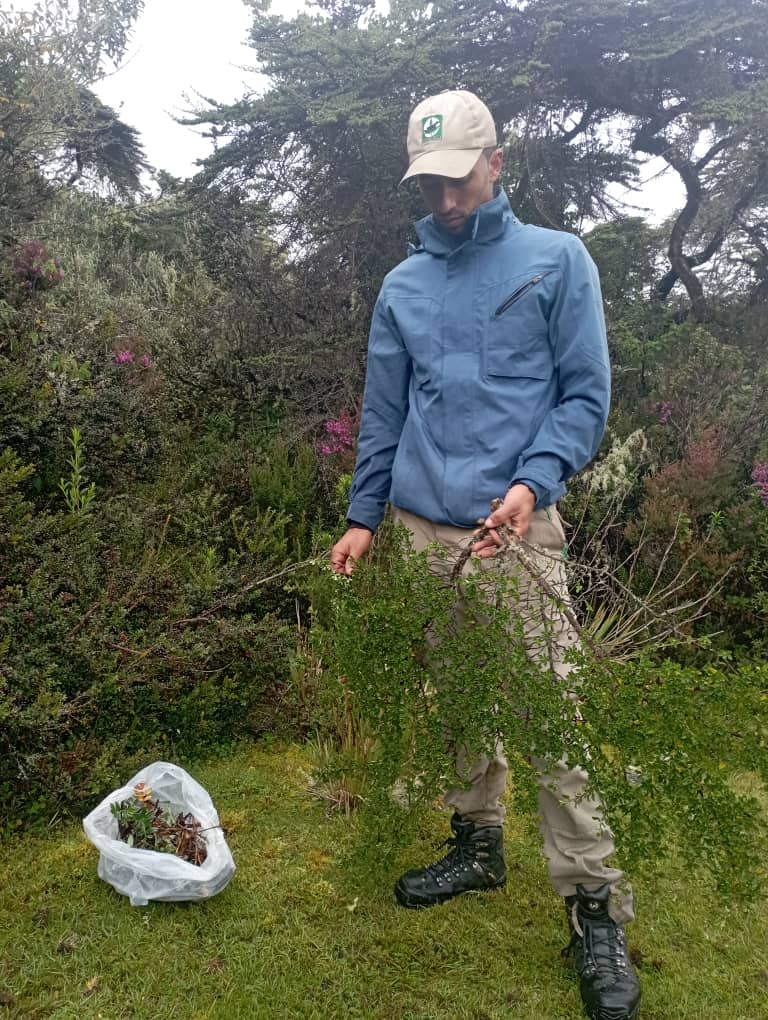 INPARQUES MÉRIDA🌱 tweet media