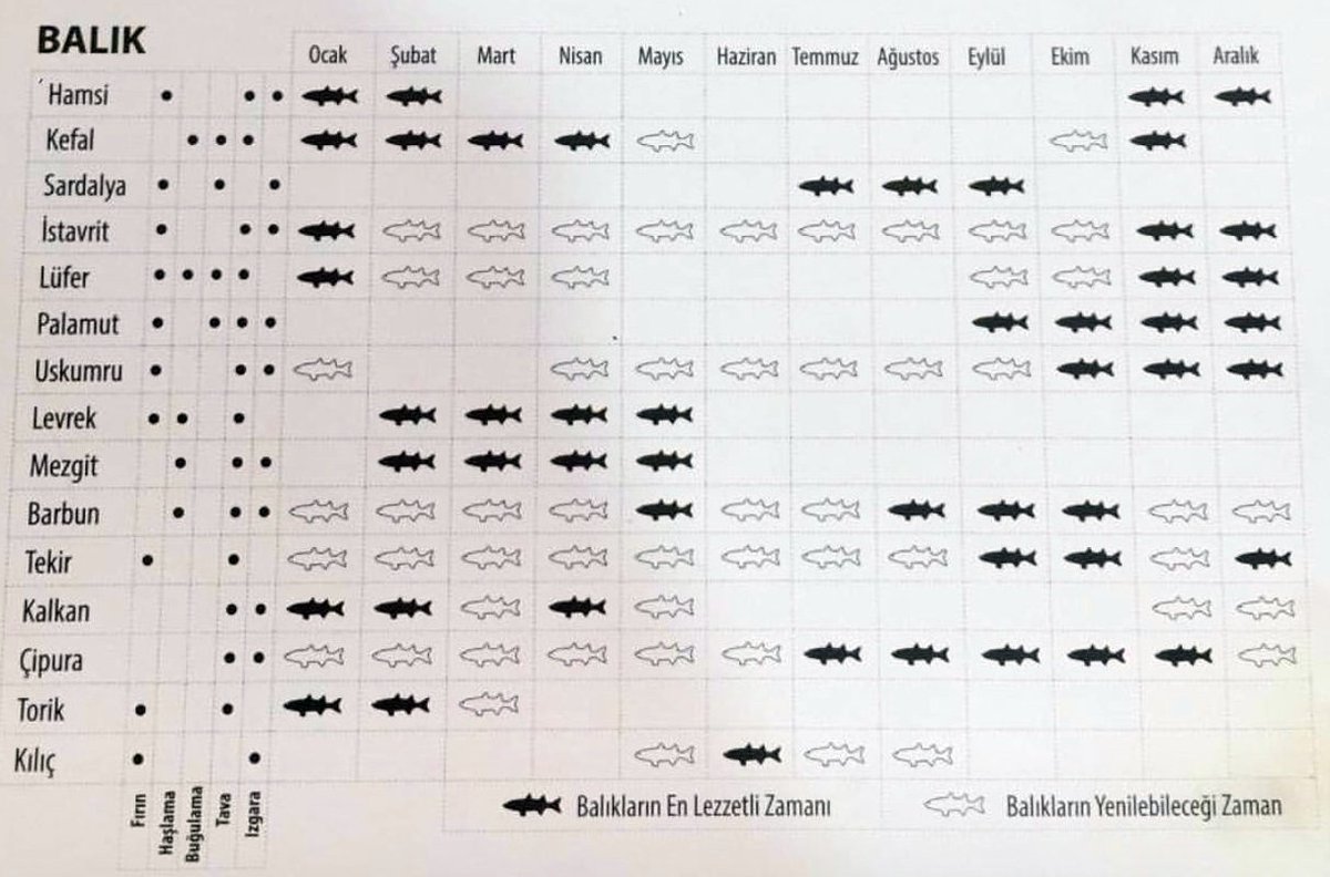 Benim  gibi balık seven ama çok da anlamayanlar için altın değerinde bir görsel  😍😎