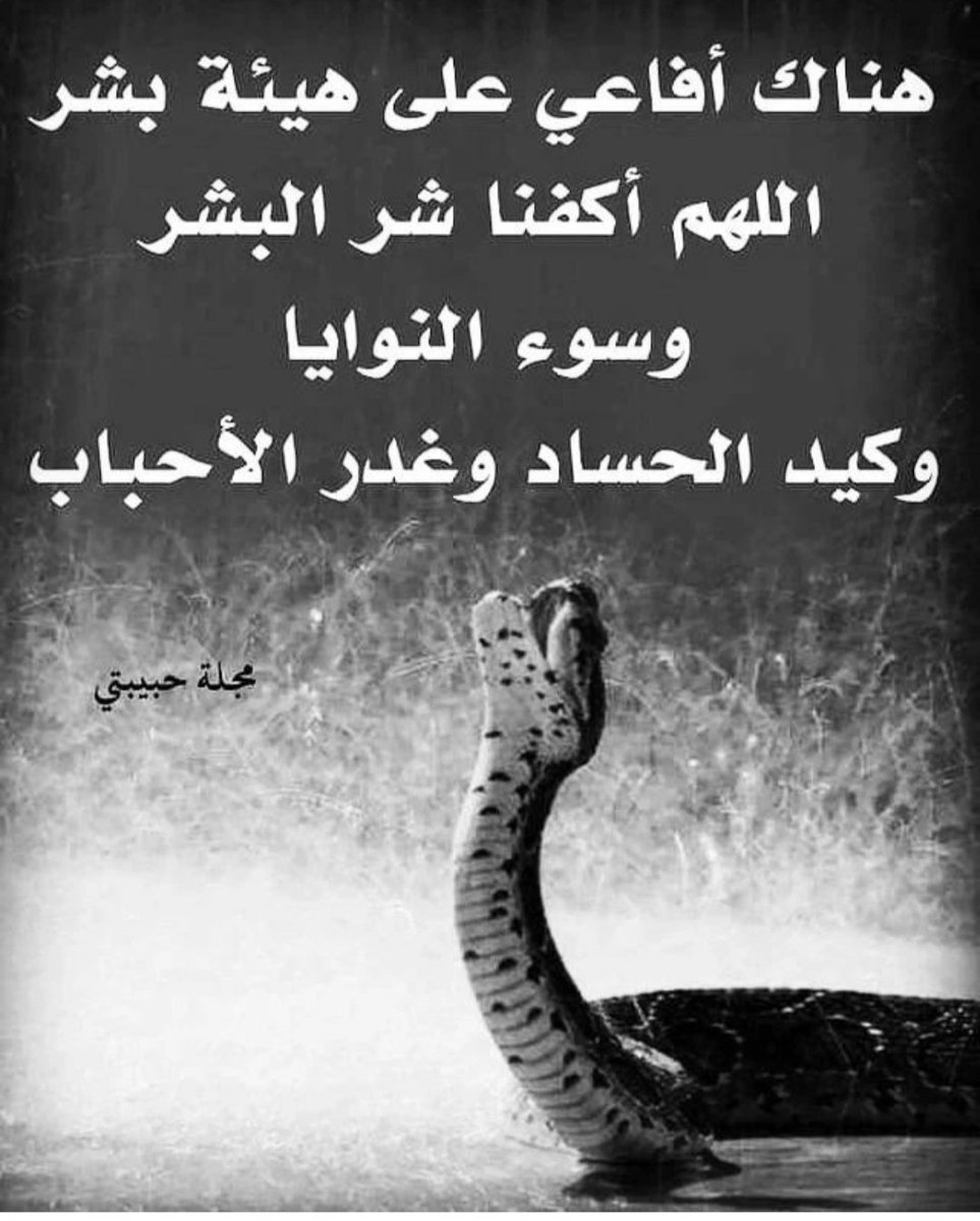 Aseel (@aseel86261911) on Twitter photo 