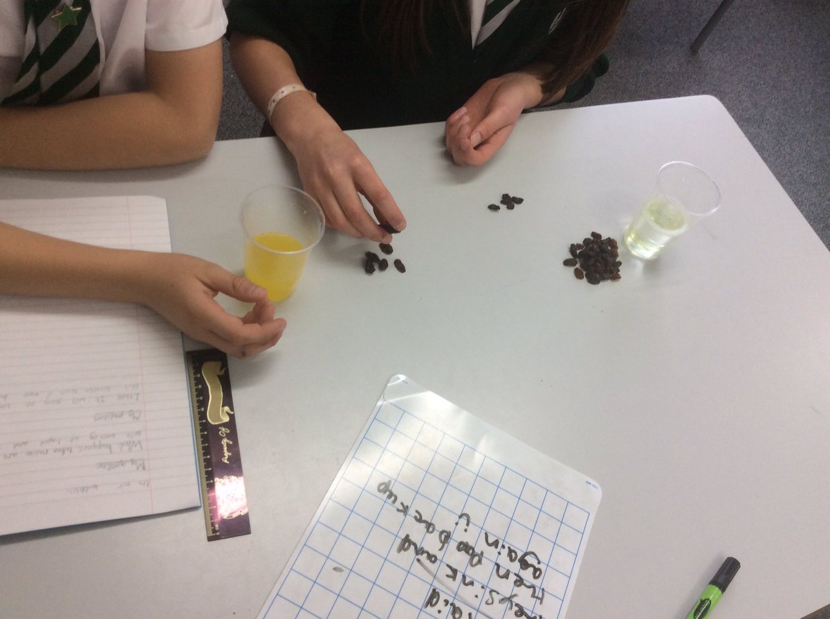 HallgatePri's tweet photo. We have enjoyed choosing our own liquids to test what happens to raisins #HPSscience https://t.co/2WgFfSucdc